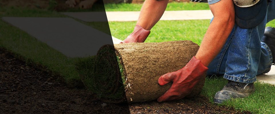 Texas City Landscapers